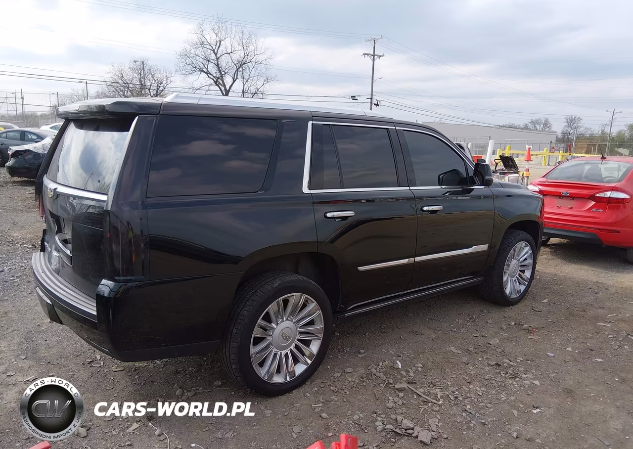 2019 Cadillac Escalade Platinum VIN:1GYS3DKJ5KR210440 - 4