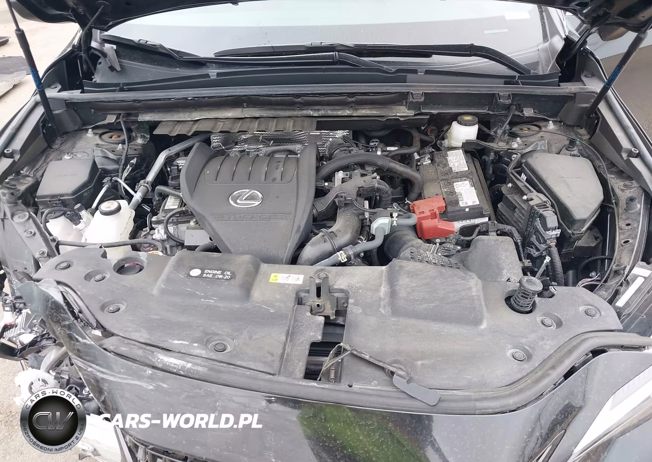 2024 Lexus Nx 350 VIN:2T2AGCEZ7RC057416 - 10