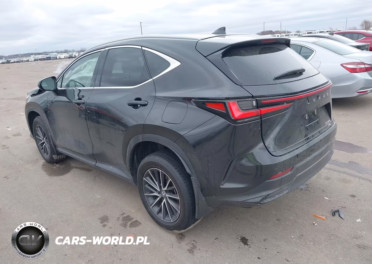 2024 Lexus Nx 350 VIN:2T2AGCEZ7RC057416 - 3