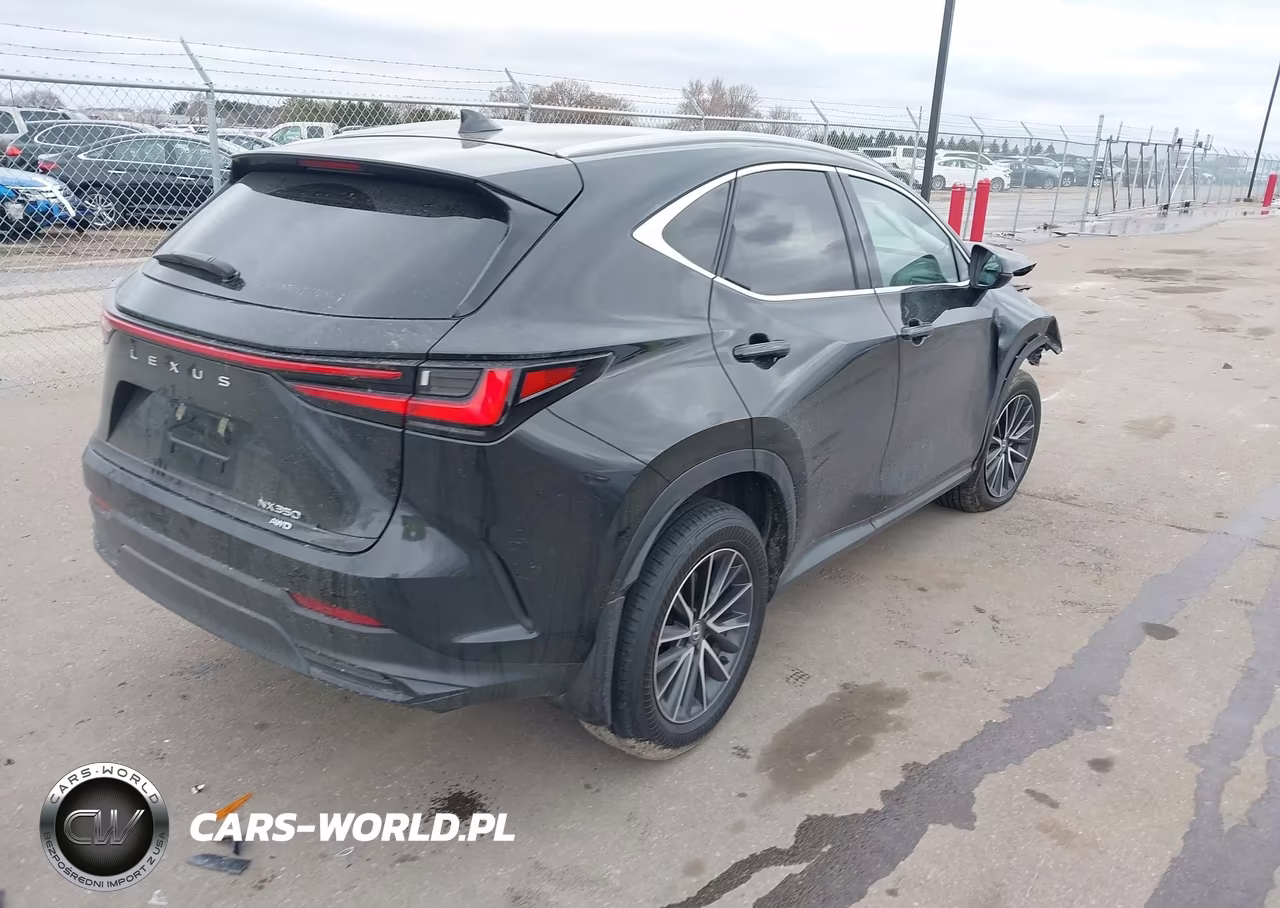 2024 Lexus Nx 350 VIN:2T2AGCEZ7RC057416 - 4