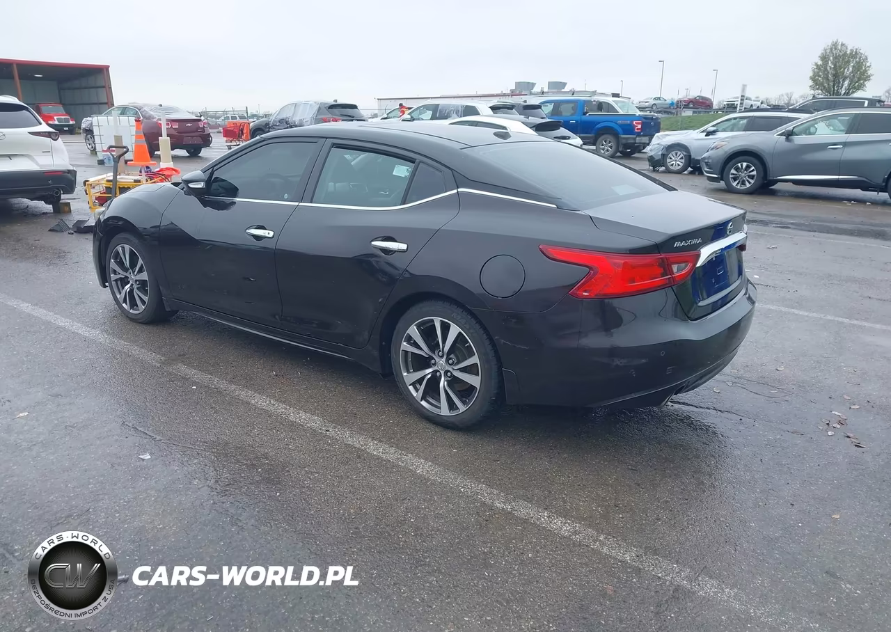 2017 Nissan Maxima 3.5 Platinum VIN:1N4AA6AP7HC421830 - 3