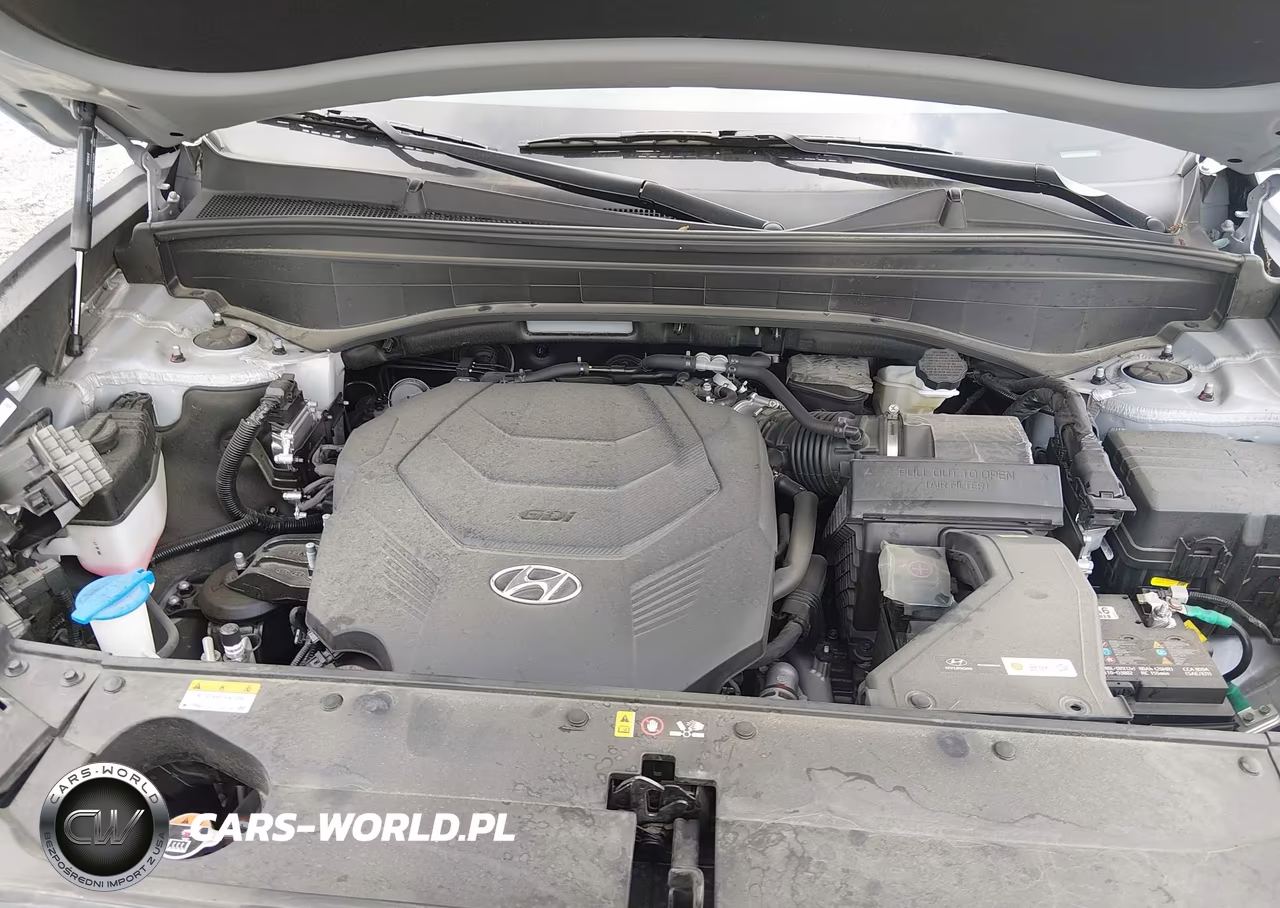 2025 Hyundai Palisade Sel VIN:KM8R24GE9SU830834 - 10