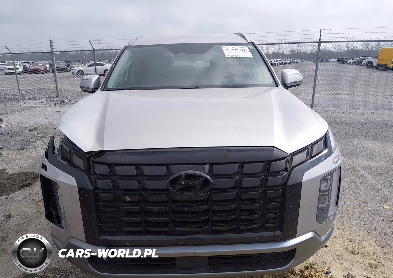 2025 Hyundai Palisade Sel VIN:KM8R24GE9SU830834 - 12