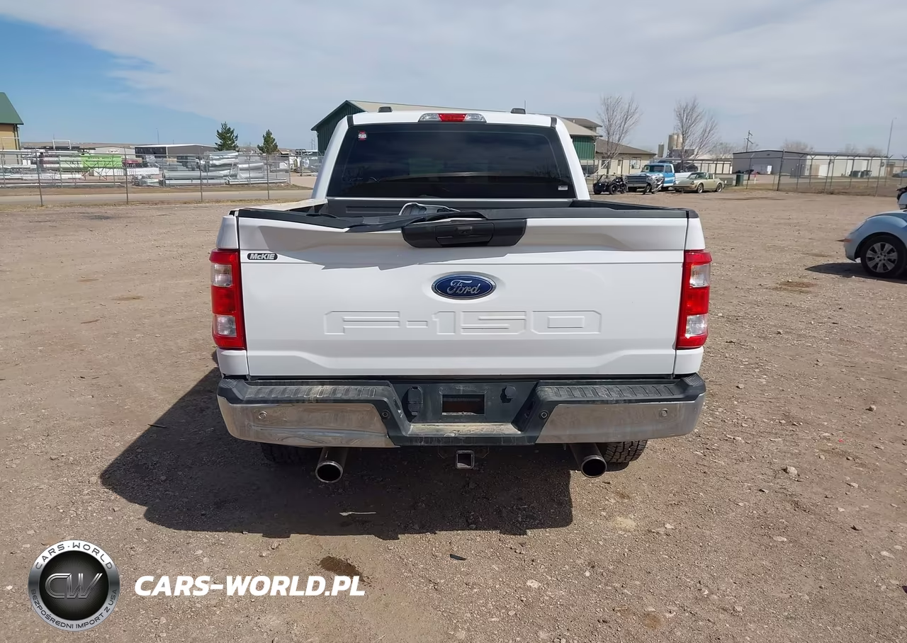 2021 Ford F-150 Xl VIN:1FTFW1E5XMKD16647 - 17