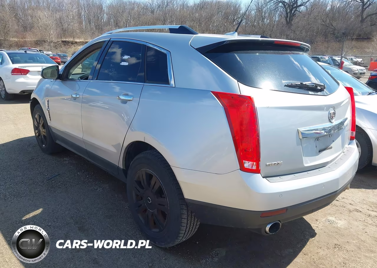 2010 Cadillac Srx Luxury Collection VIN:3GYFNAEY4AS642578 - 3