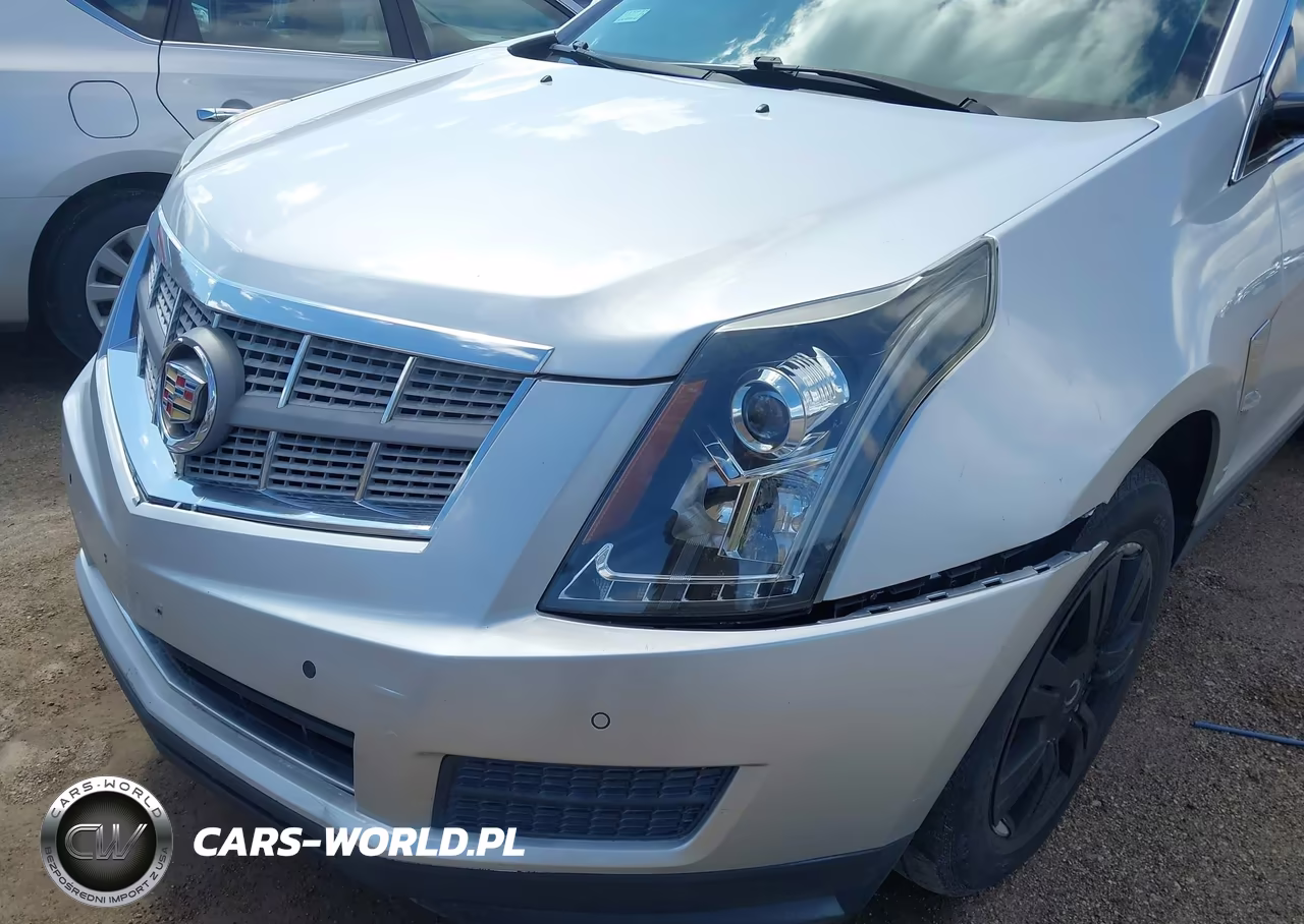 2010 Cadillac Srx Luxury Collection VIN:3GYFNAEY4AS642578 - 6