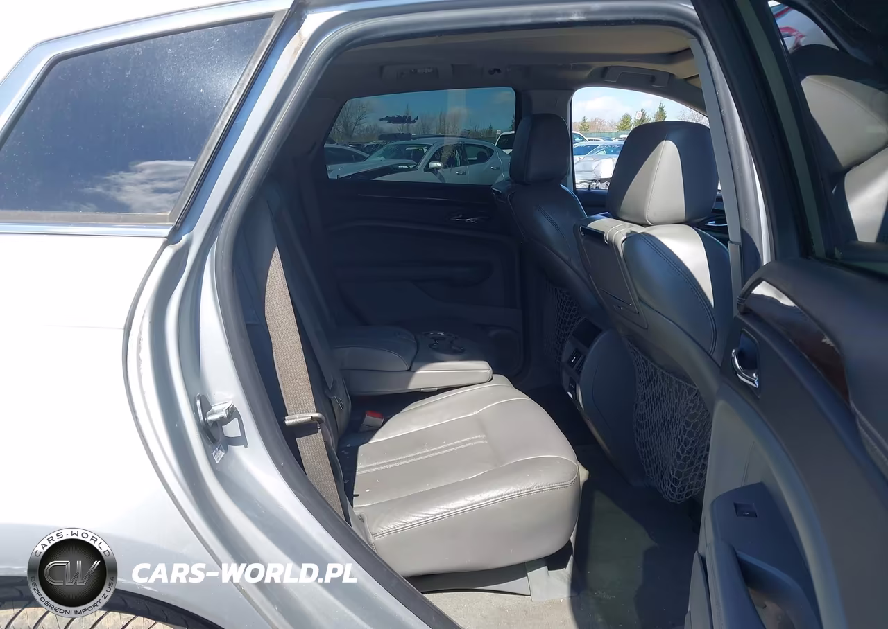 2010 Cadillac Srx Luxury Collection VIN:3GYFNAEY4AS642578 - 8
