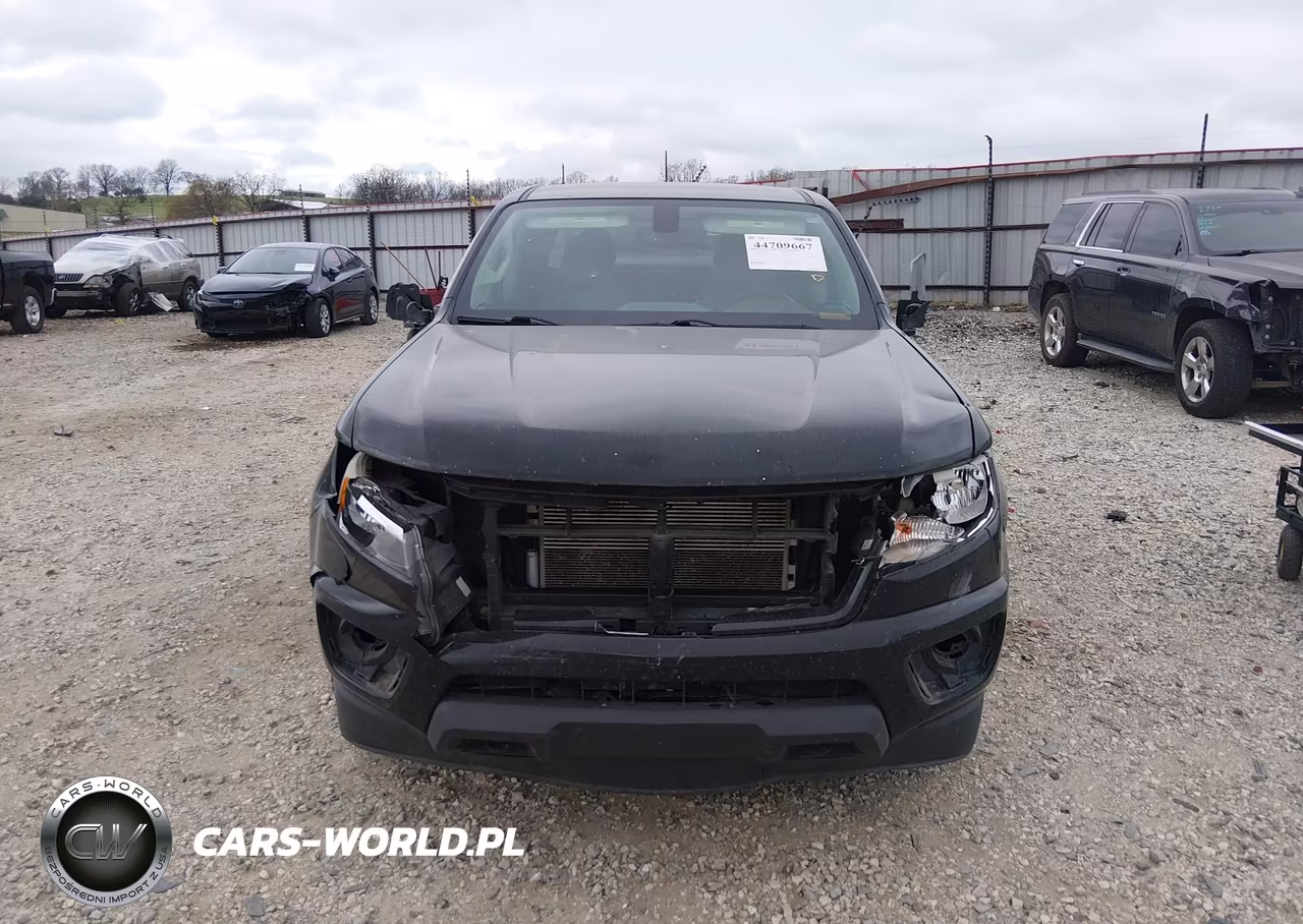 2019 Chevrolet Colorado Wt VIN:1GCGTBEN5K1317131 - 12