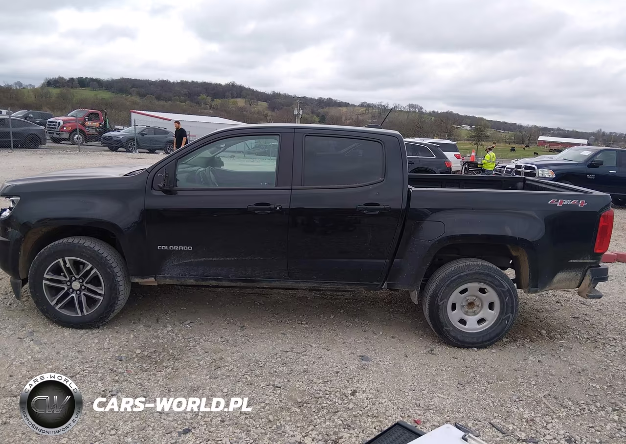 2019 Chevrolet Colorado Wt VIN:1GCGTBEN5K1317131 - 14