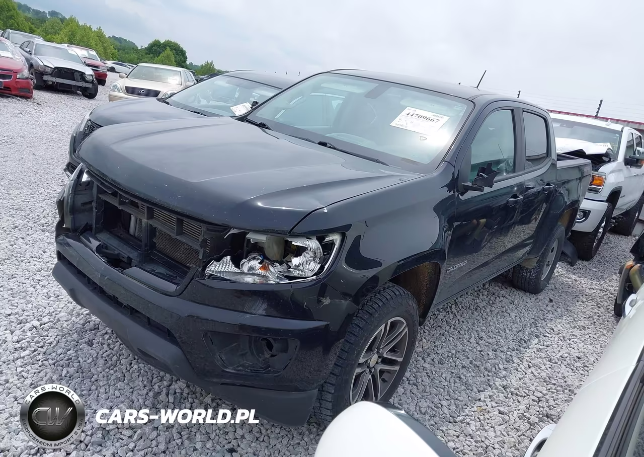 2019 Chevrolet Colorado Wt VIN:1GCGTBEN5K1317131 - 2