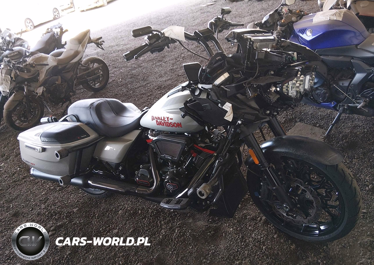 2025 Harley-Davidson Fltrxstse