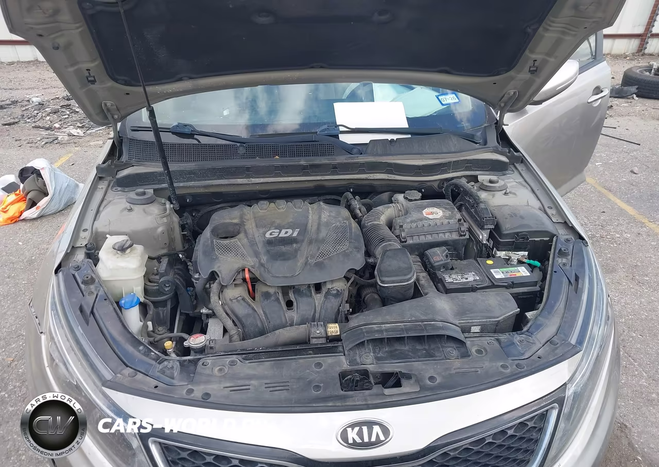 2014 Kia Optima Lx VIN:KNAGM4A75E5523320 - 10