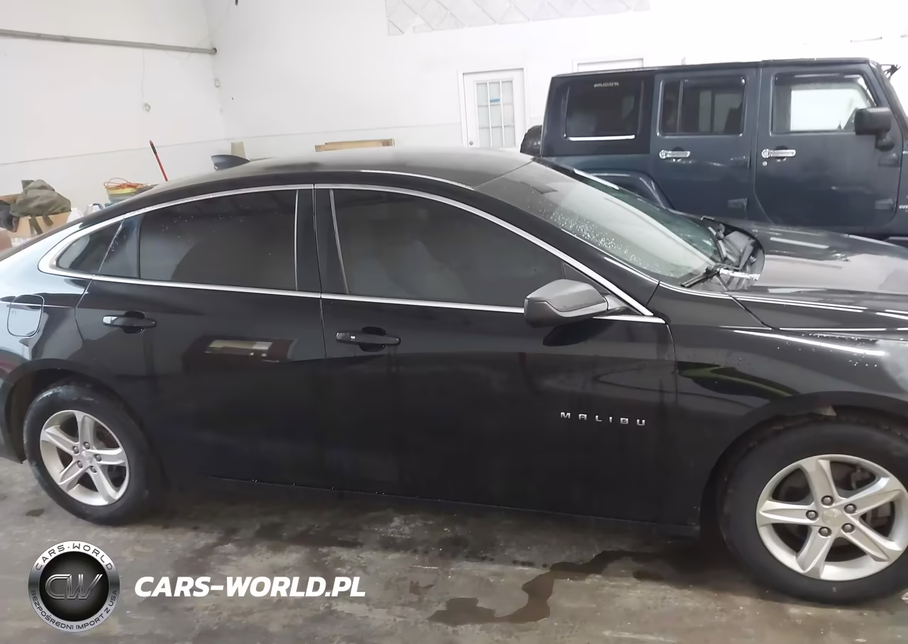 2019 Chevrolet Malibu 1Fl VIN:1G1ZC5ST9KF208776 - 13