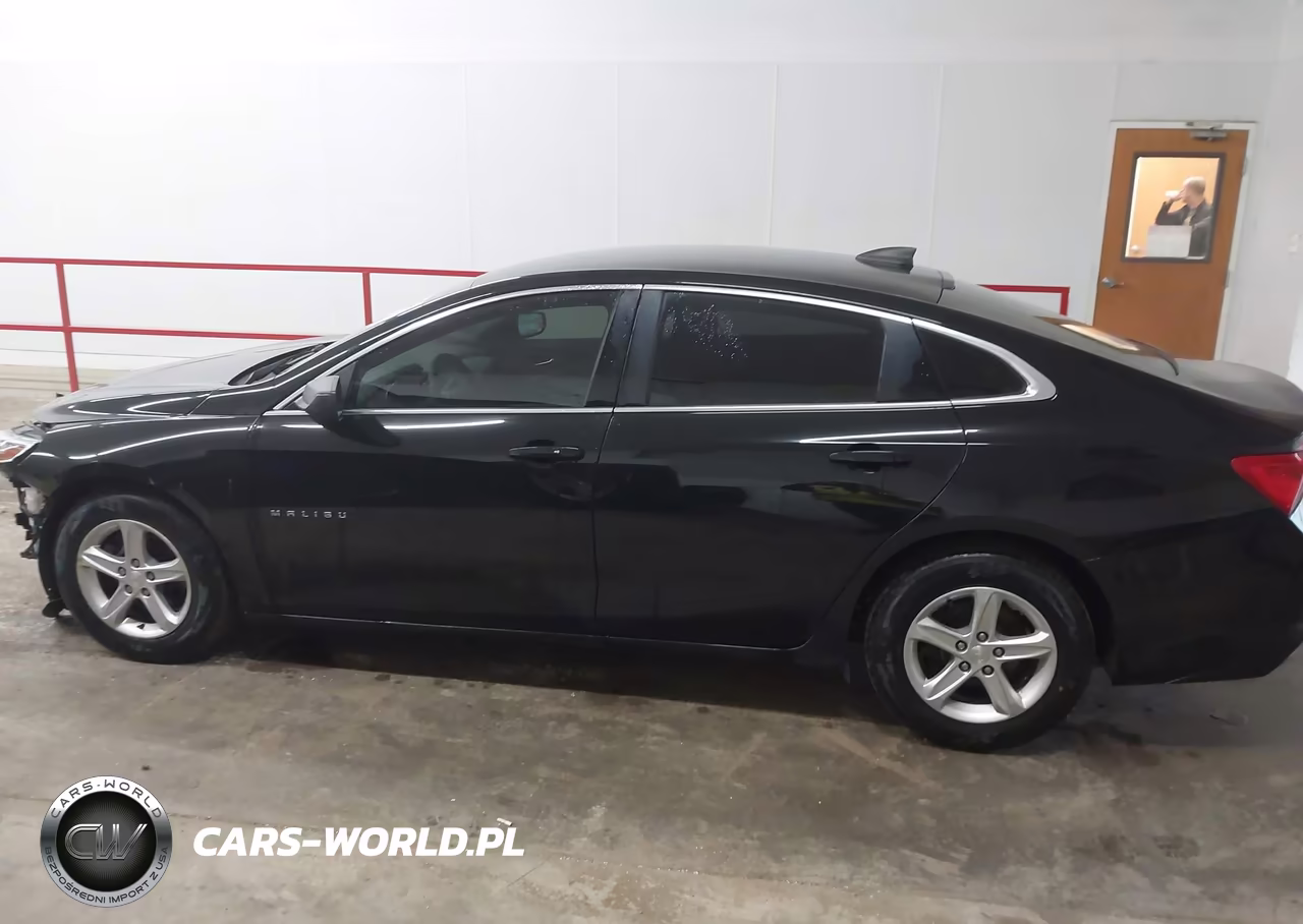 2019 Chevrolet Malibu 1Fl VIN:1G1ZC5ST9KF208776 - 14