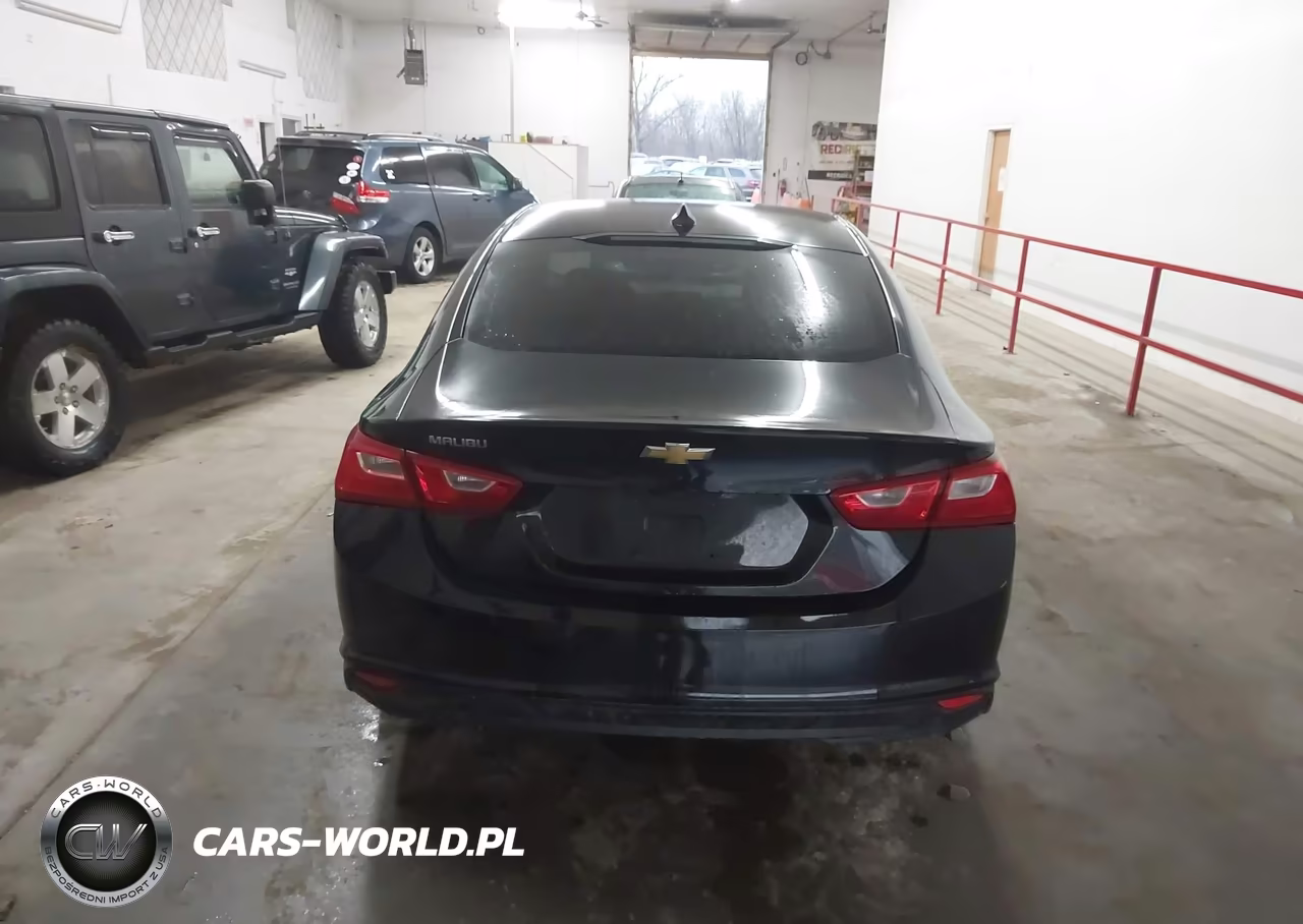 2019 Chevrolet Malibu 1Fl VIN:1G1ZC5ST9KF208776 - 16