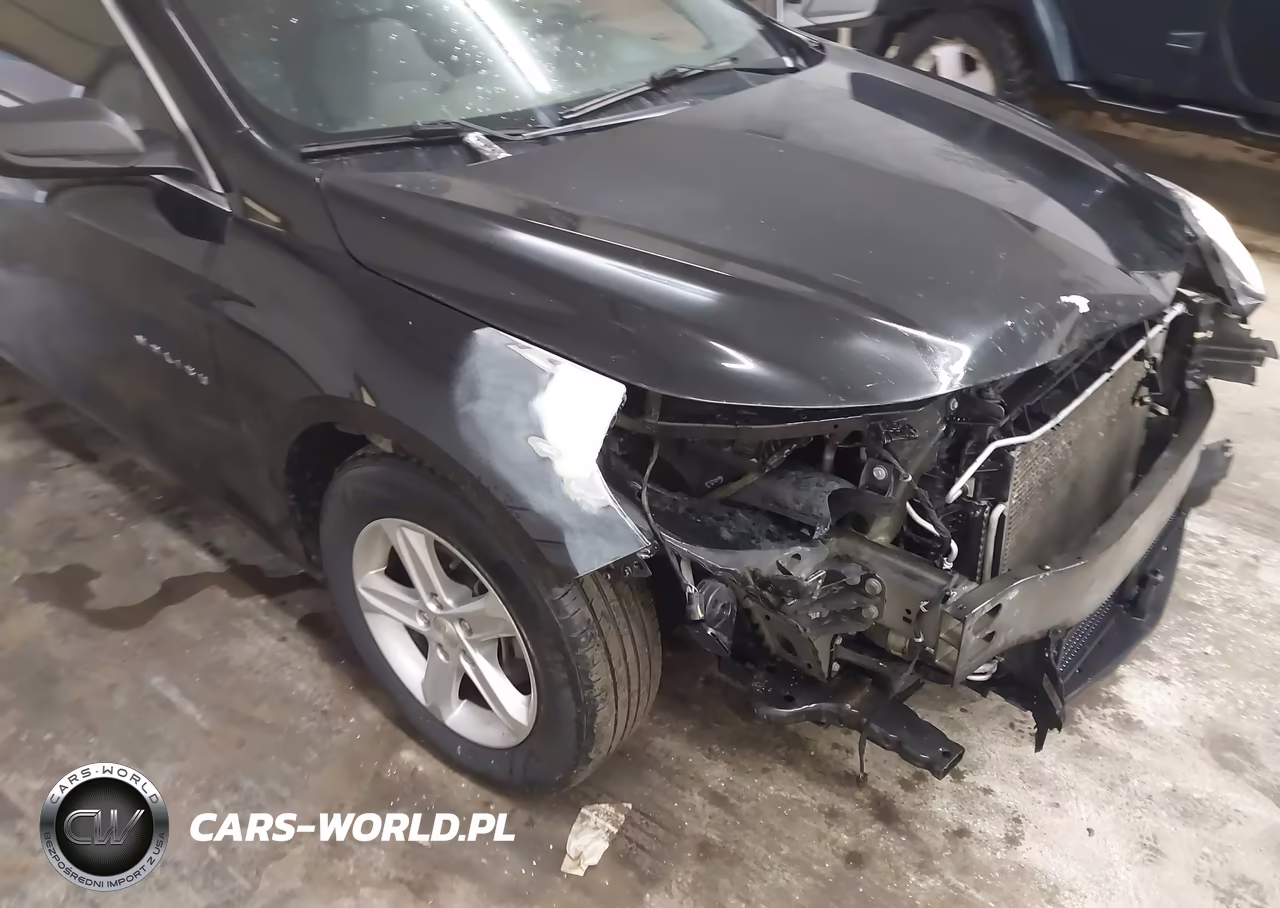 2019 Chevrolet Malibu 1Fl VIN:1G1ZC5ST9KF208776 - 18