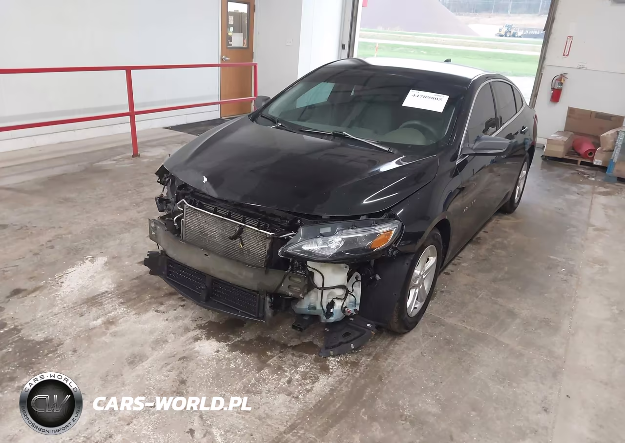 2019 Chevrolet Malibu 1Fl VIN:1G1ZC5ST9KF208776 - 2