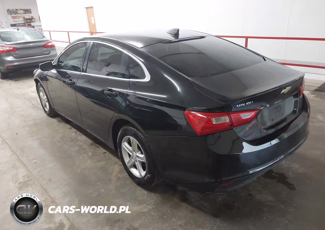2019 Chevrolet Malibu 1Fl VIN:1G1ZC5ST9KF208776 - 3
