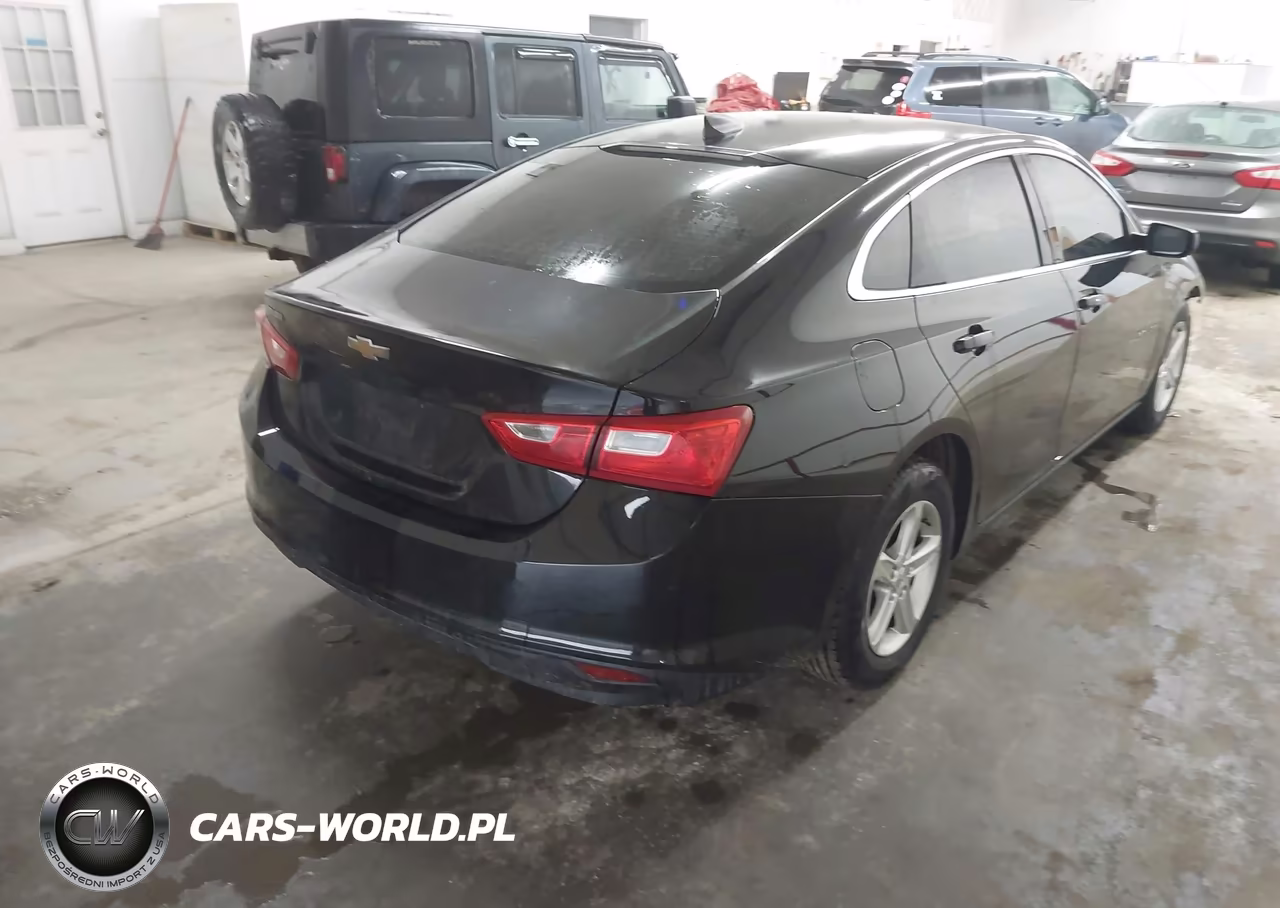 2019 Chevrolet Malibu 1Fl VIN:1G1ZC5ST9KF208776 - 4