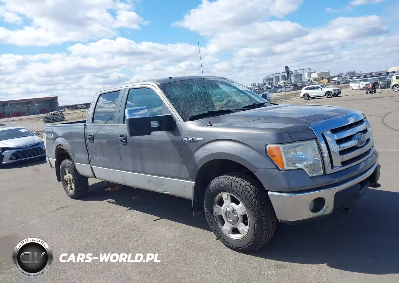 2009 Ford F-150 Fx4-King Ranch-Lariat-Platinum-Xl-Xlt