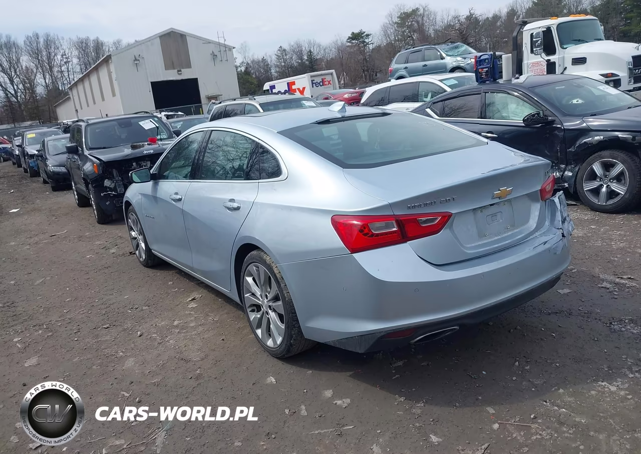 2017 Chevrolet Malibu Premier VIN:1G1ZH5SX9HF250443 - 3