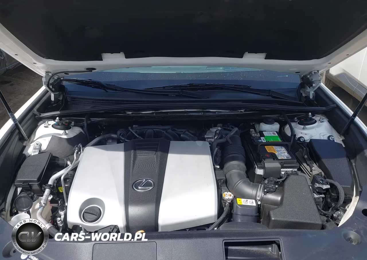 2019 Lexus Es 350 VIN:58ABZ1B16KU040335 - 10