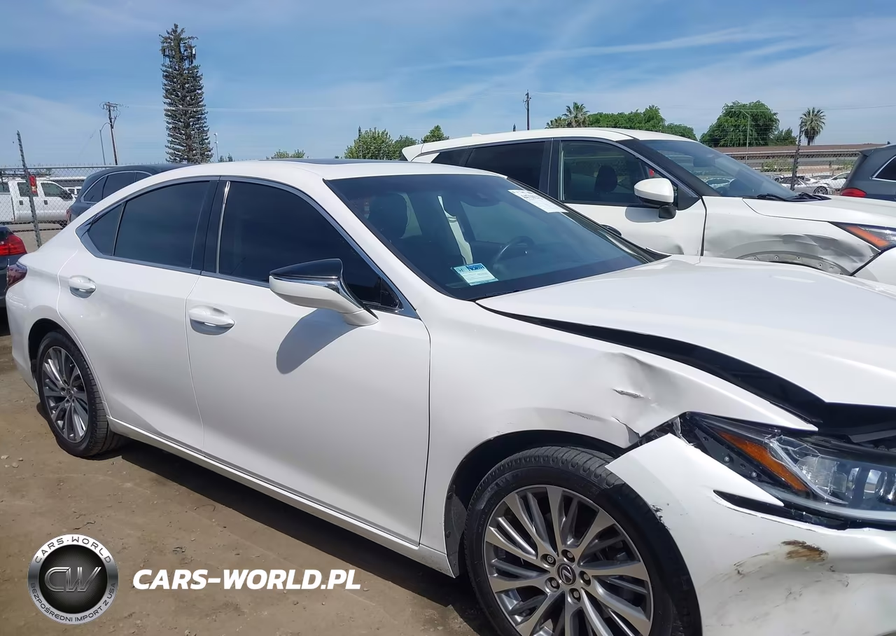 2019 Lexus Es 350 VIN:58ABZ1B16KU040335 - 13