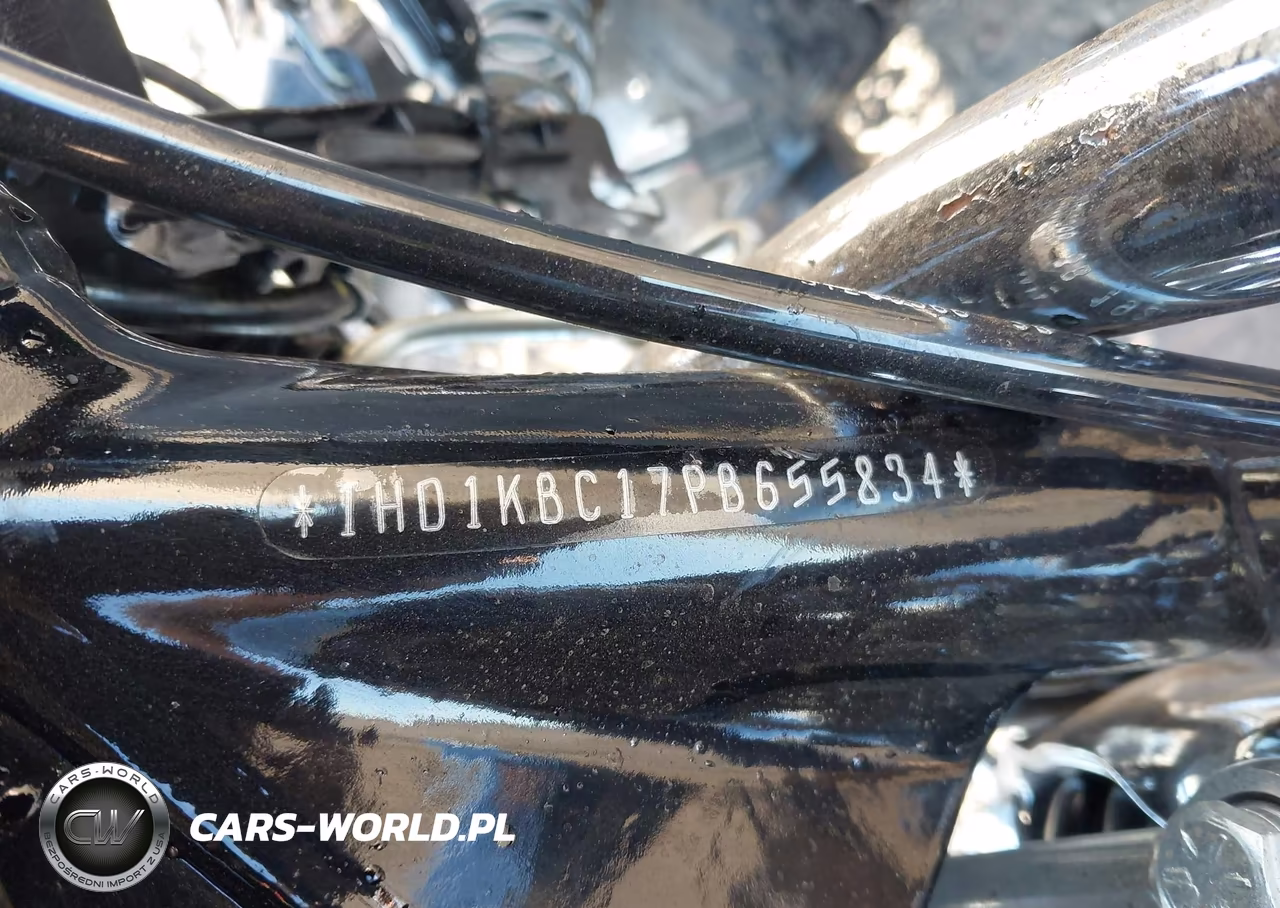 2023 Harley-Davidson Flhx VIN:1HD1KBC17PB655834 - 10