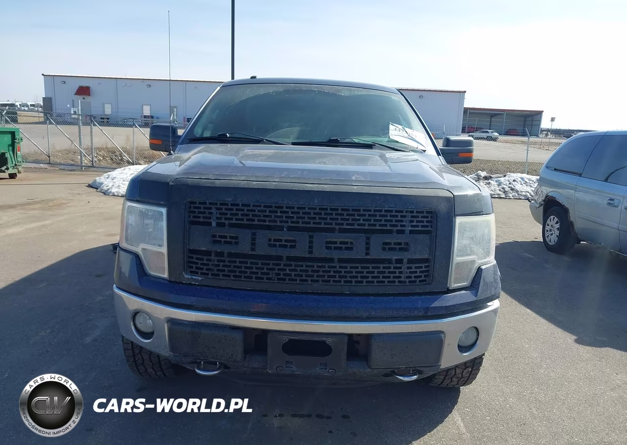 2012 Ford F-150 Xlt VIN:1FTFX1EF0CFB15434 - 13