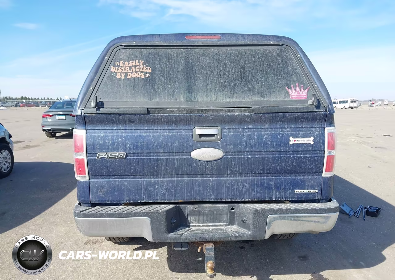 2012 Ford F-150 Xlt VIN:1FTFX1EF0CFB15434 - 17