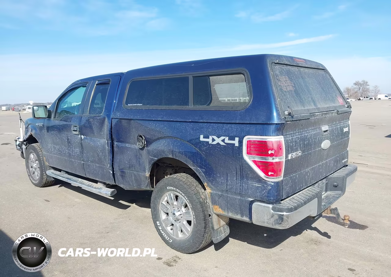 2012 Ford F-150 Xlt VIN:1FTFX1EF0CFB15434 - 3