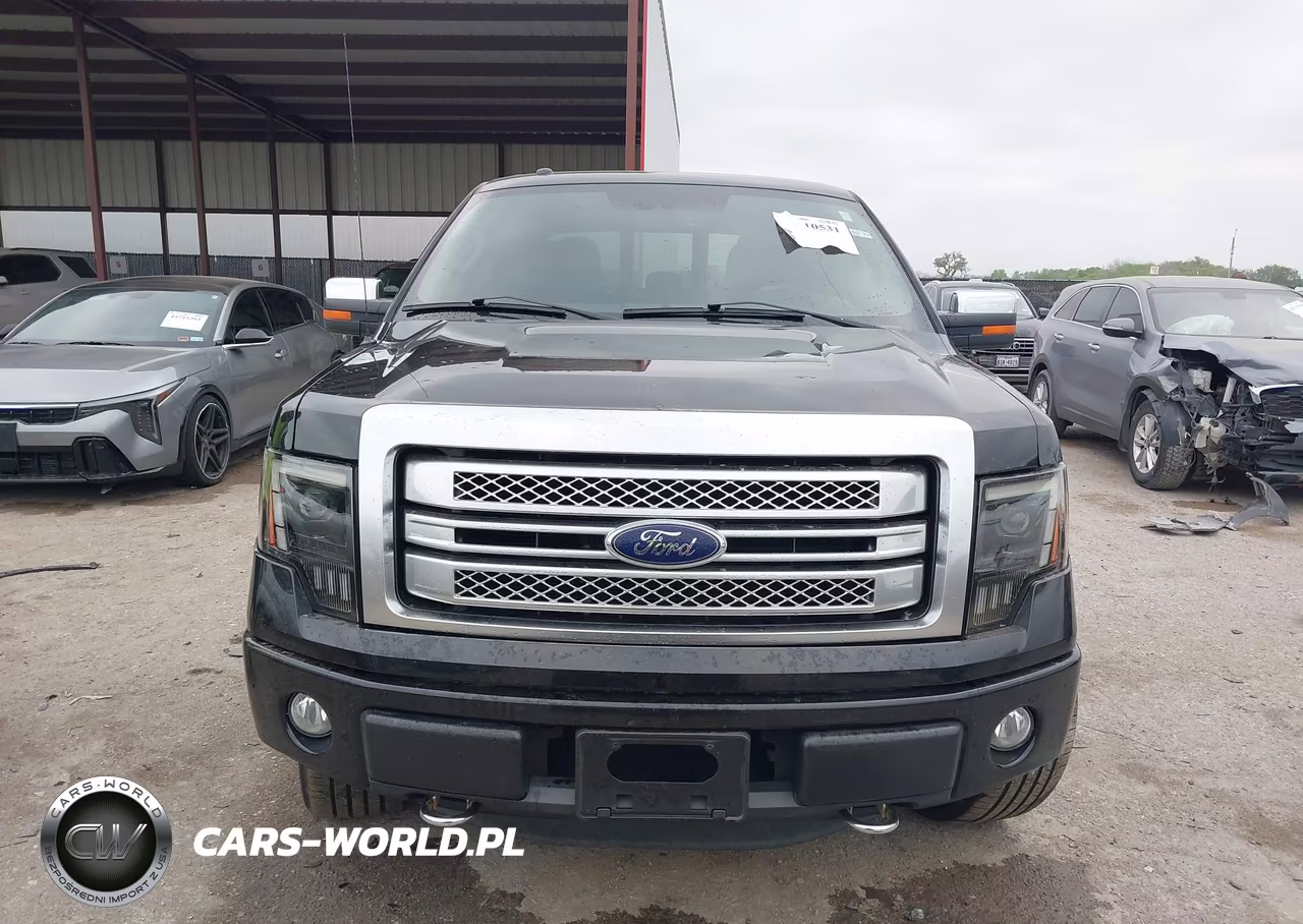 2014 Ford F-150 Platinum VIN:1FTFW1EF3EFC69996 - 12