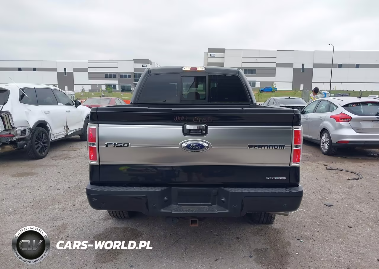 2014 Ford F-150 Platinum VIN:1FTFW1EF3EFC69996 - 16