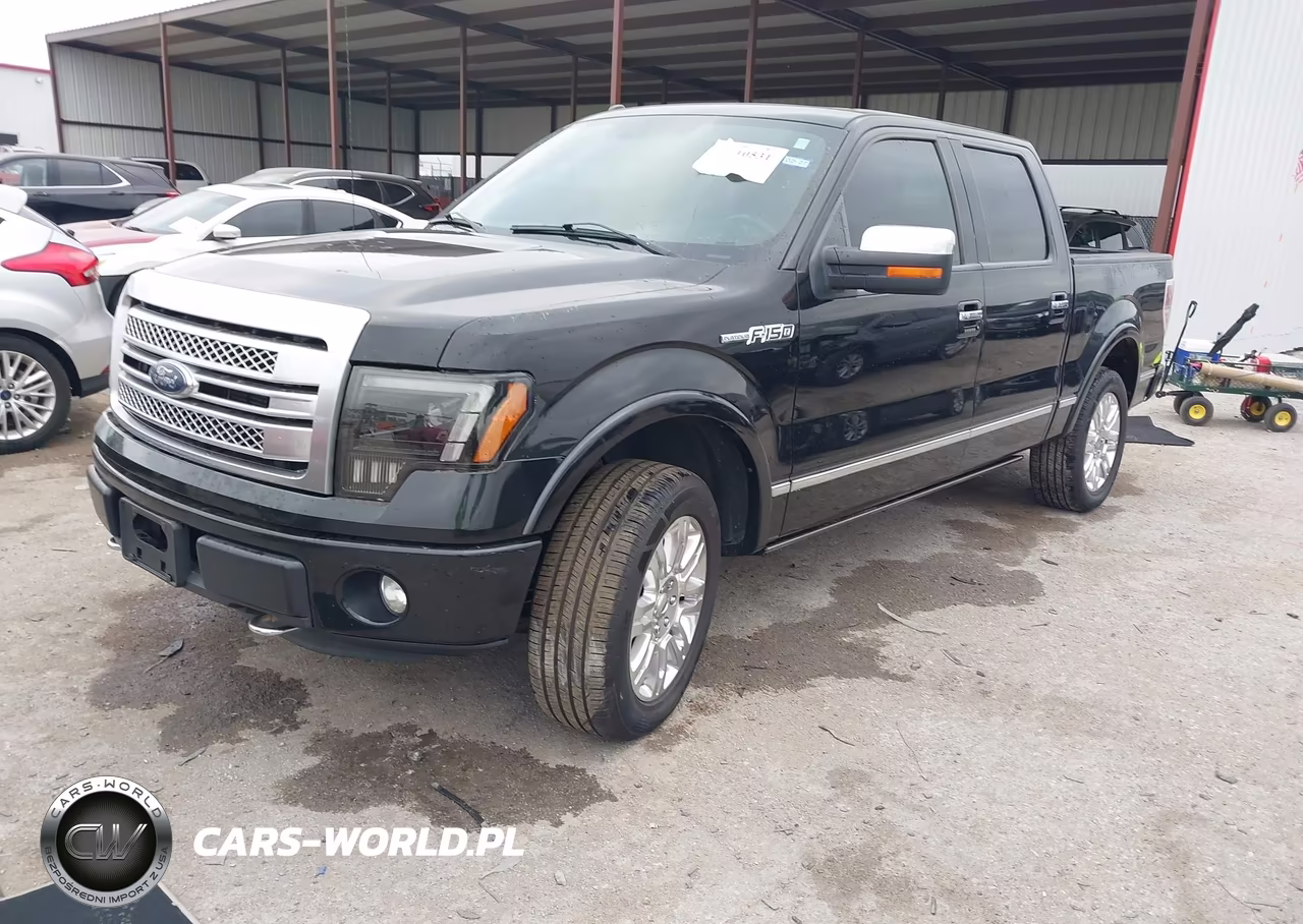 2014 Ford F-150 Platinum VIN:1FTFW1EF3EFC69996 - 2