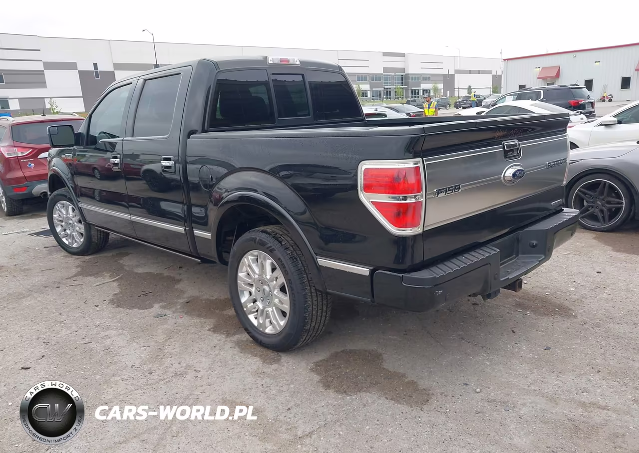 2014 Ford F-150 Platinum VIN:1FTFW1EF3EFC69996 - 3