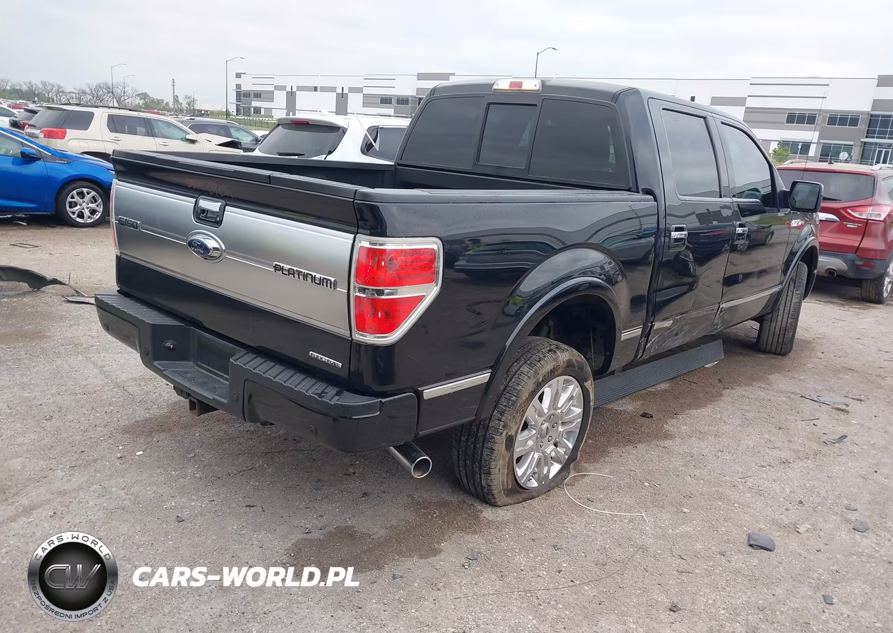 2014 Ford F-150 Platinum VIN:1FTFW1EF3EFC69996 - 4