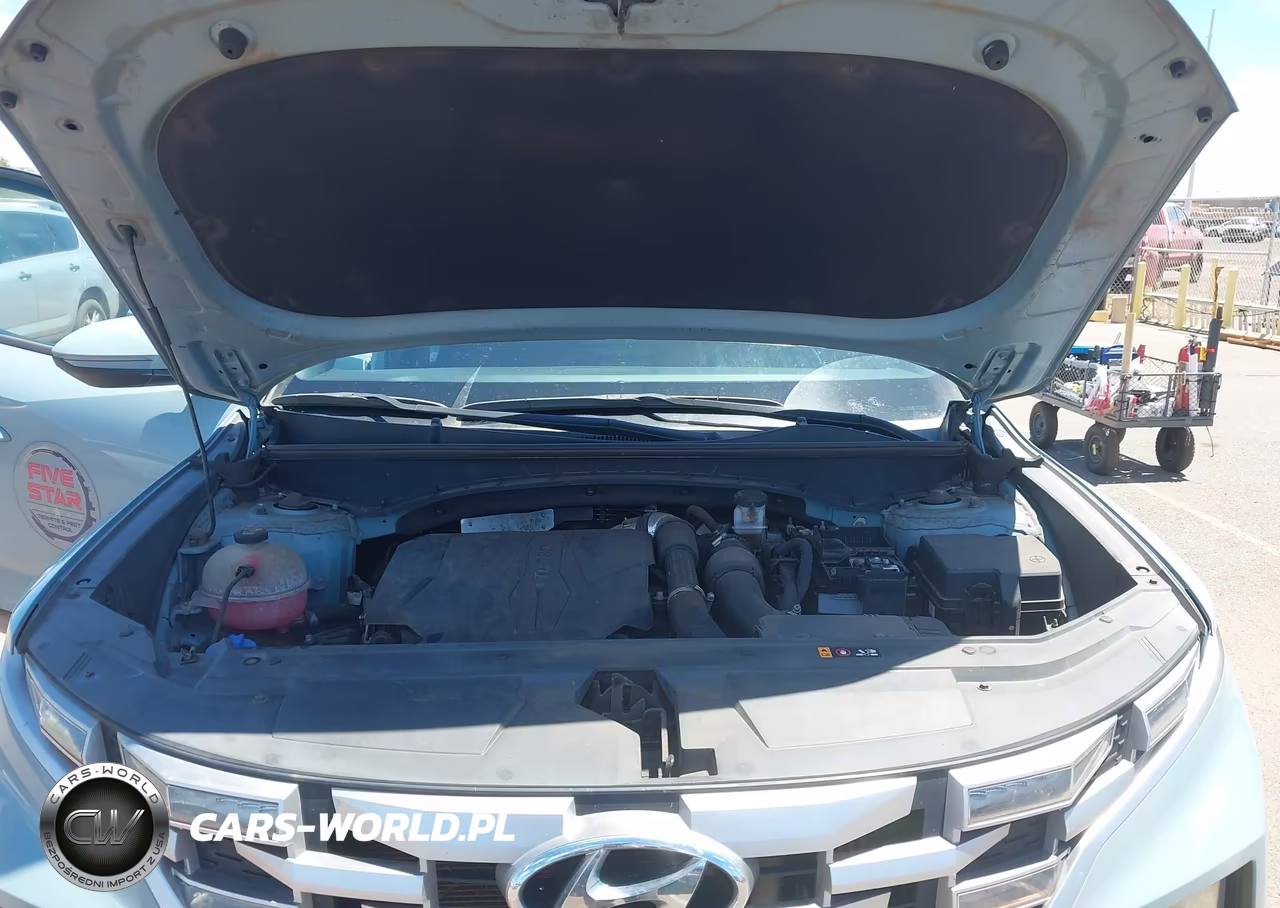 2022 Hyundai Santa Cruz Sel Premium VIN:5NTJDDAF7NH025590 - 10