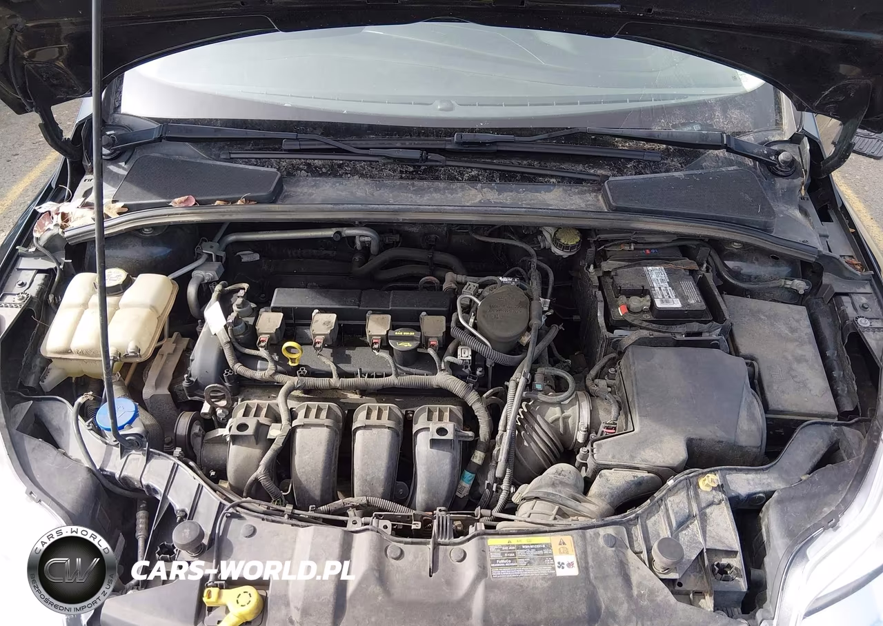 2013 Ford Focus Se VIN:1FADP3F2XDL296243 - 10