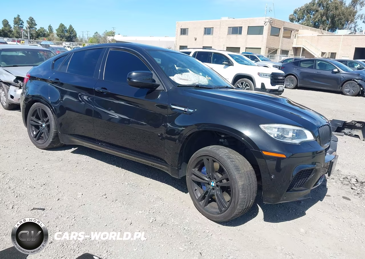 2014 BMW X6 M