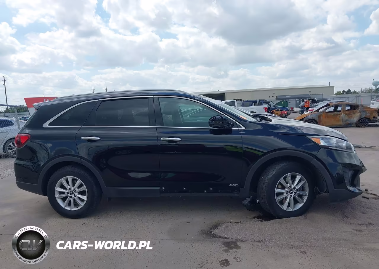 2019 Kia Sorento 2.4L Lx VIN:5XYPGDA36KG589658 - 13