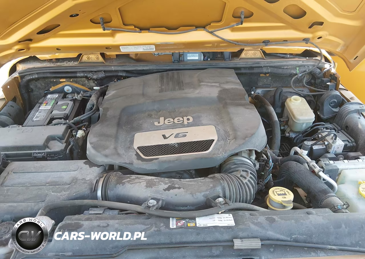 2014 Jeep Wrangler Unlimited Sport VIN:1C4BJWDG6EL318890 - 10
