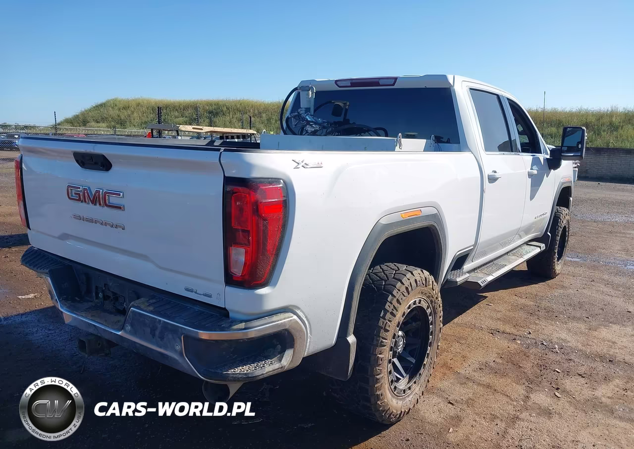 2020 GMC Sierra 2500Hd VIN:1GT49MEY9LF344733 - 4