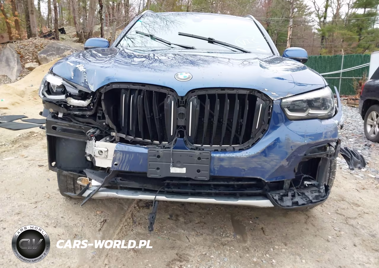 2020 BMW X5 Sdrive40I VIN:5UXCR4C01L9C86965 - 6