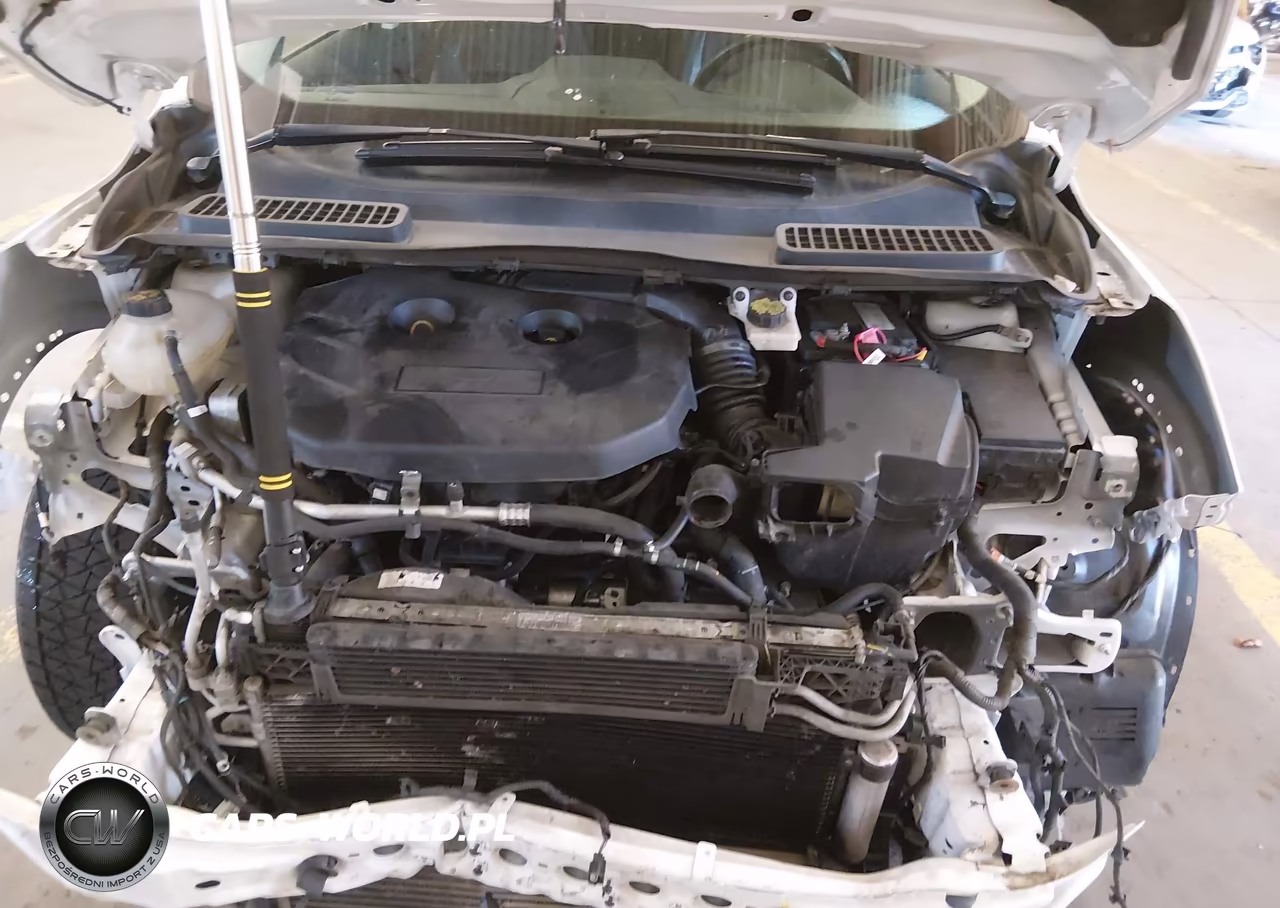 2019 Ford Escape Titanium VIN:1FMCU9J9XKUC29716 - 10
