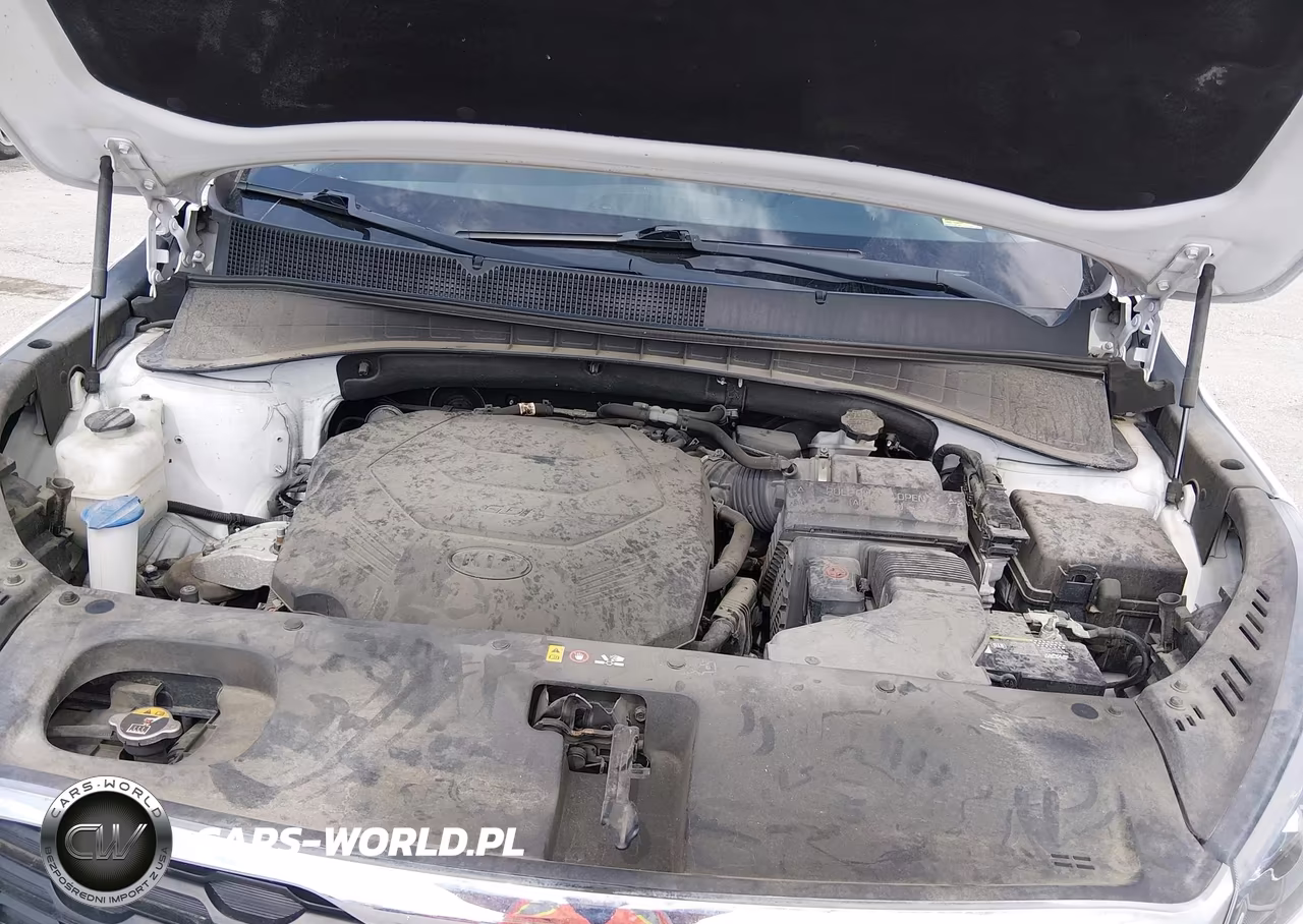 2019 Kia Sorento 3.3L Lx VIN:5XYPGDA59KG503101 - 10