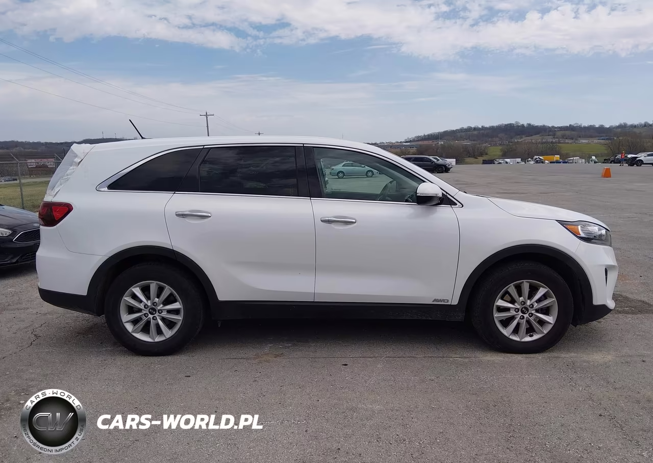 2019 Kia Sorento 3.3L Lx VIN:5XYPGDA59KG503101 - 13