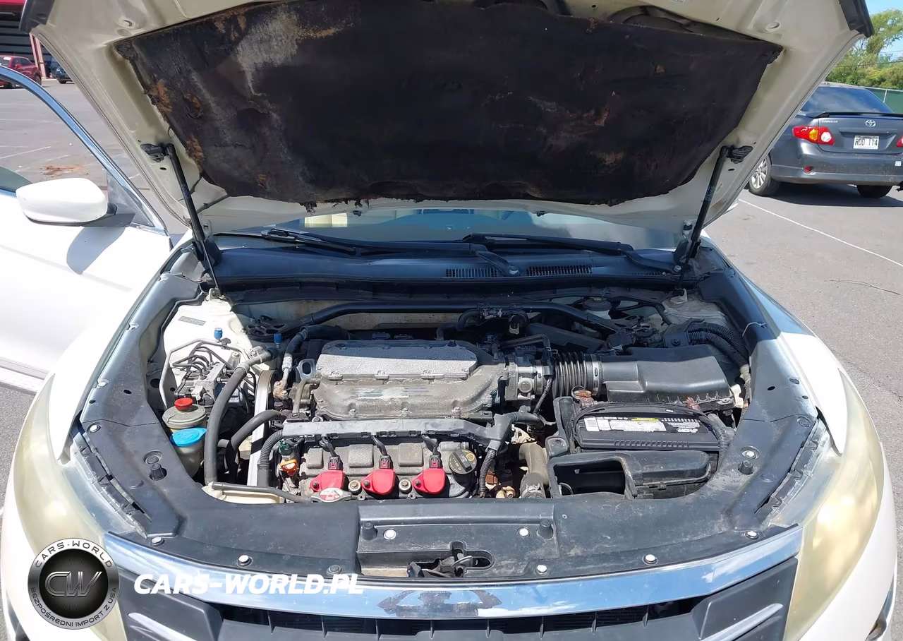 2011 Honda Accord Crosstour Ex-L VIN:5J6TF2H52BL007096 - 10