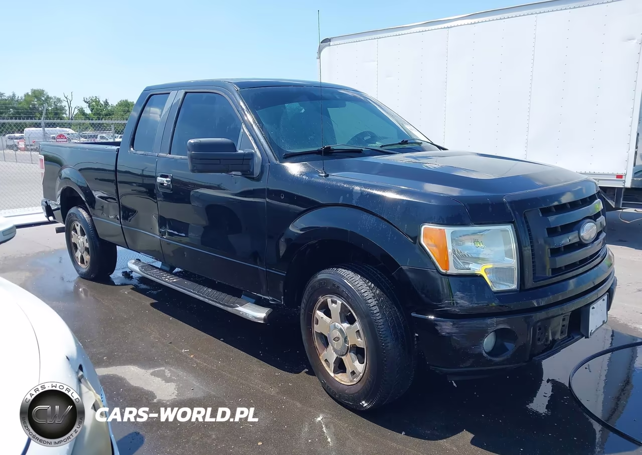 2009 Ford F-150 Stx