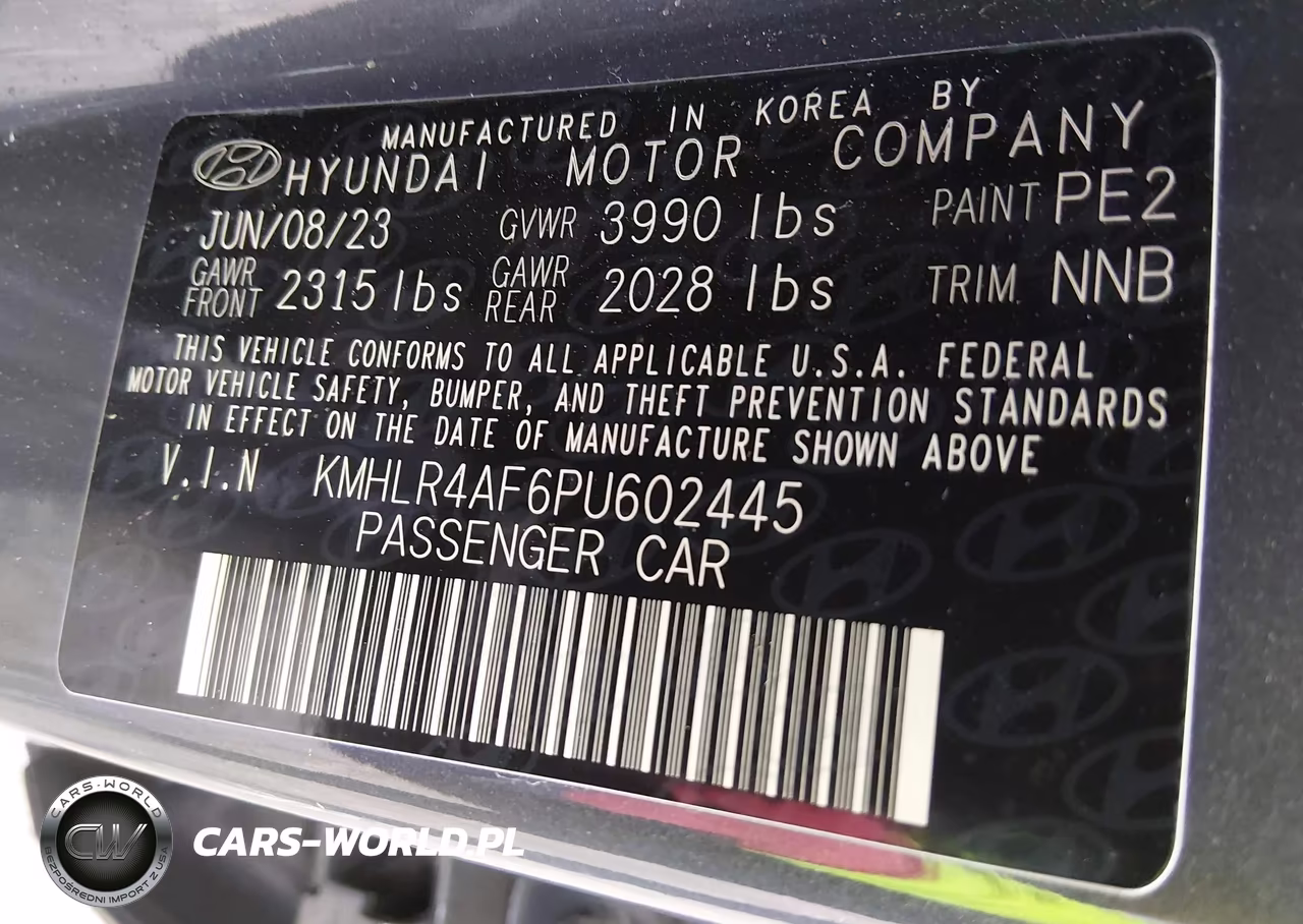 2023 Hyundai Elantra N Line VIN:KMHLR4AF6PU602445 - 9