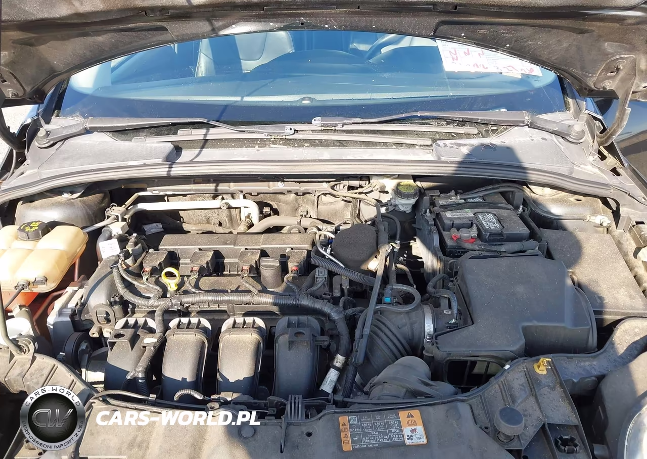 2014 Ford Focus Se VIN:1FADP3F2XEL439628 - 10